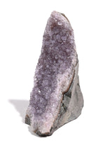 Amethyst Cluster