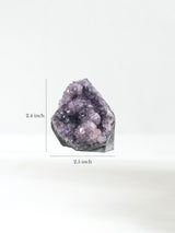 Amethyst Cluster J 4 | Cg887
