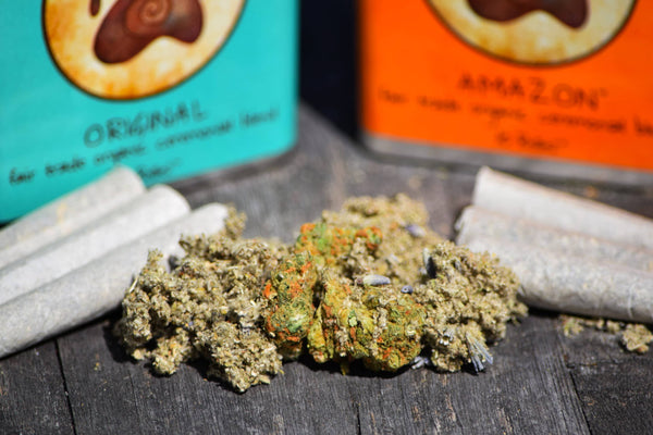 Bear Blend