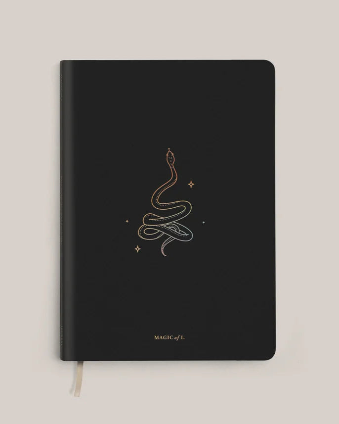 Magic of I Origins Journal: Transform