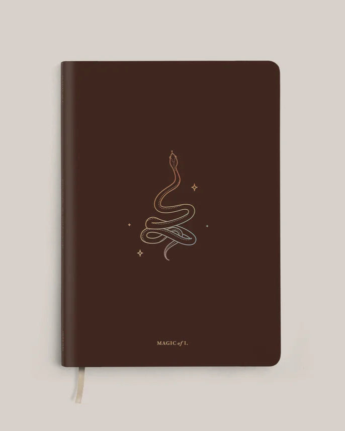 Magic of I Origins Journal: Transform