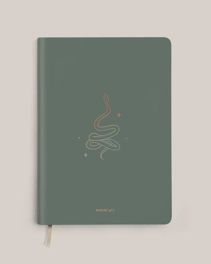 Magic of I Origins Journal: Transform