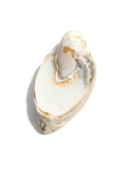 Druzy Fossilized Shell 4 | Cg1139