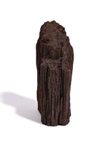 Permineralized Wood C 1 | Cg1181