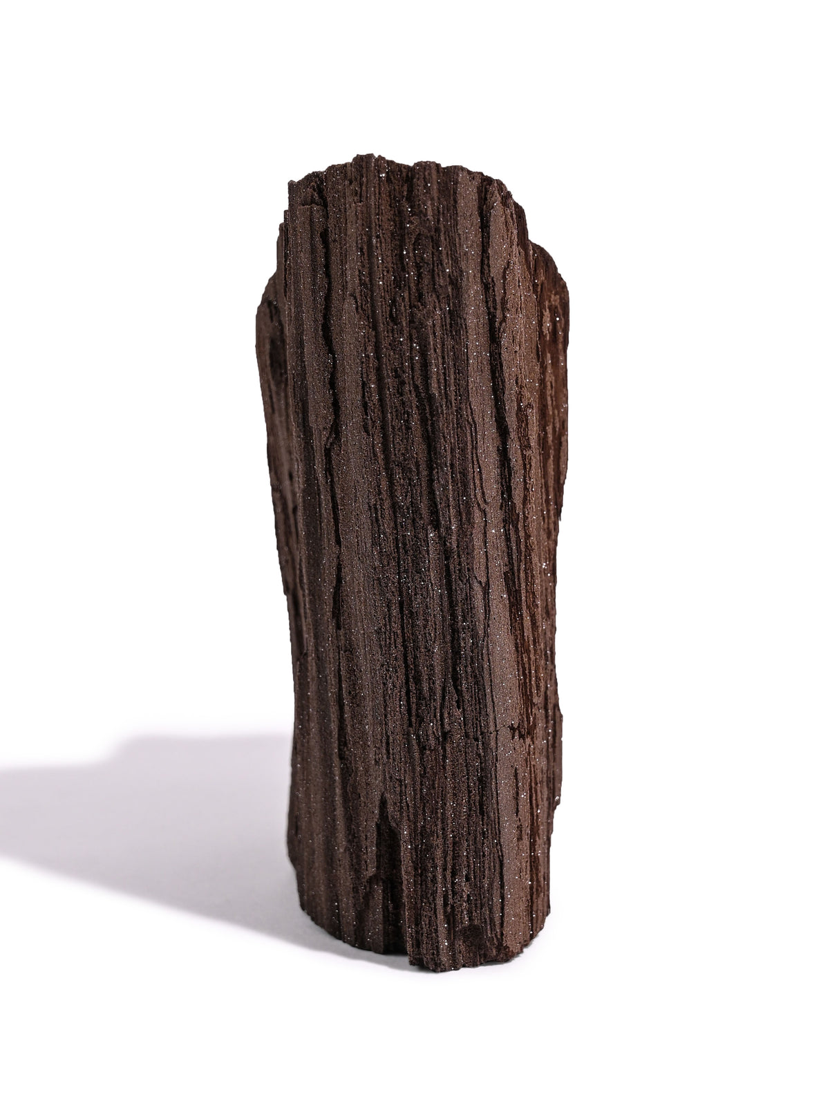 Permineralized Wood C 2 | Cg1181