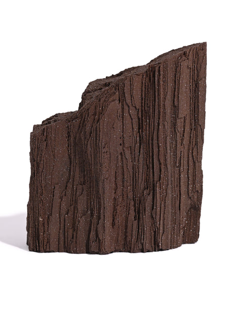 Permineralized Wood C 3 | Cg1181