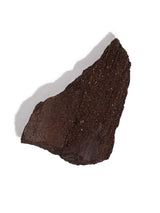 Permineralized Wood D | Cg1182
