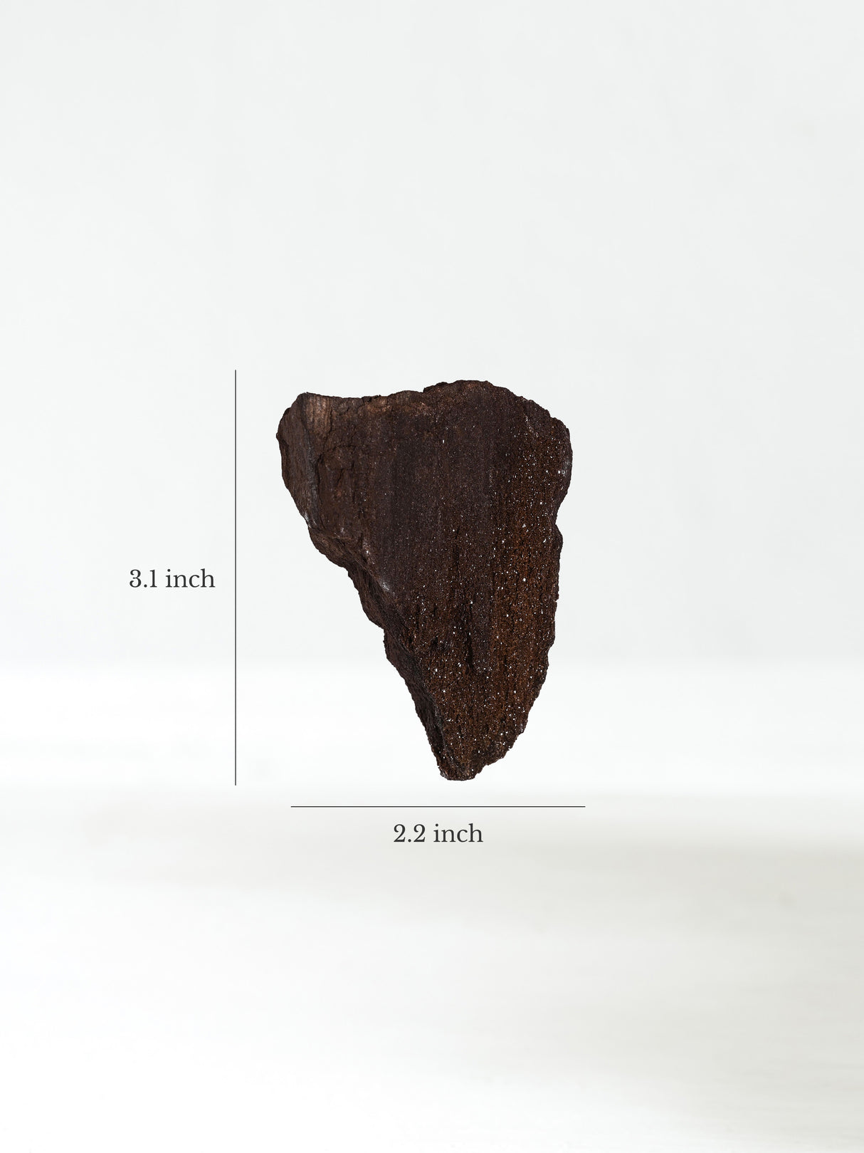 Permineralized Wood D Dimension | Cg1182