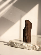 Permineralized Wood