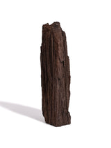 Permineralized Wood H 1 | Cg1186