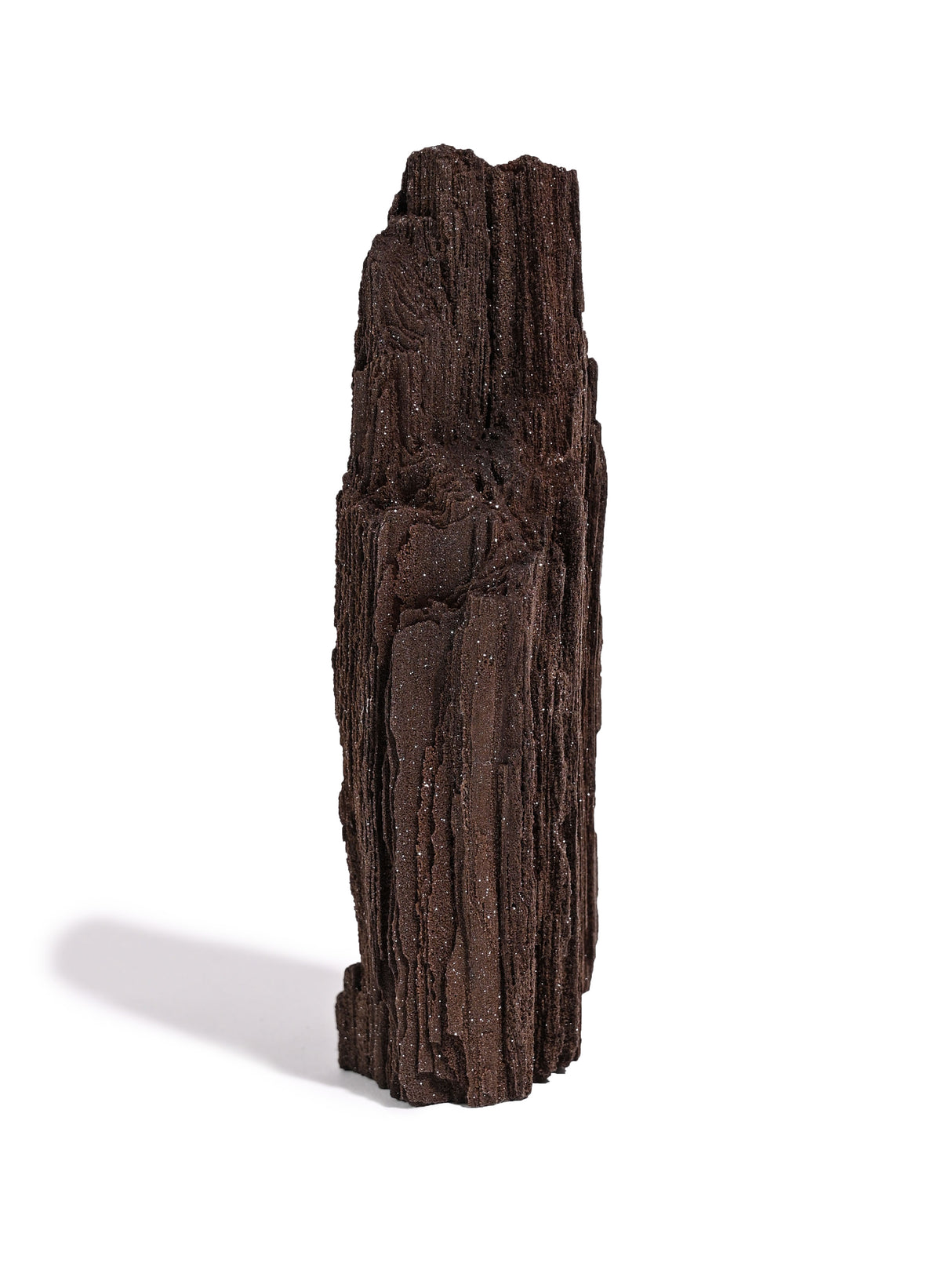 Permineralized Wood H 3 | Cg1186
