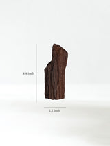 Permineralized Wood H Dimension | Cg1186