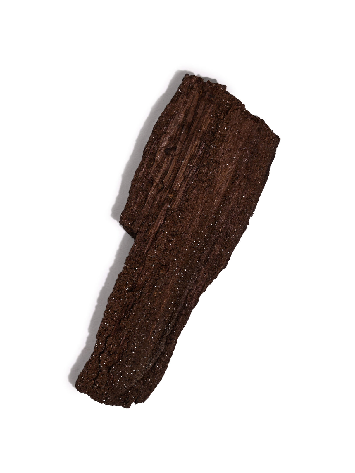 Permineralized Wood J | Cg1188