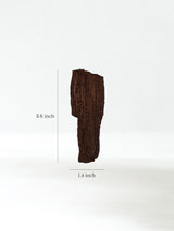 Permineralized Wood J Dimension | Cg1188