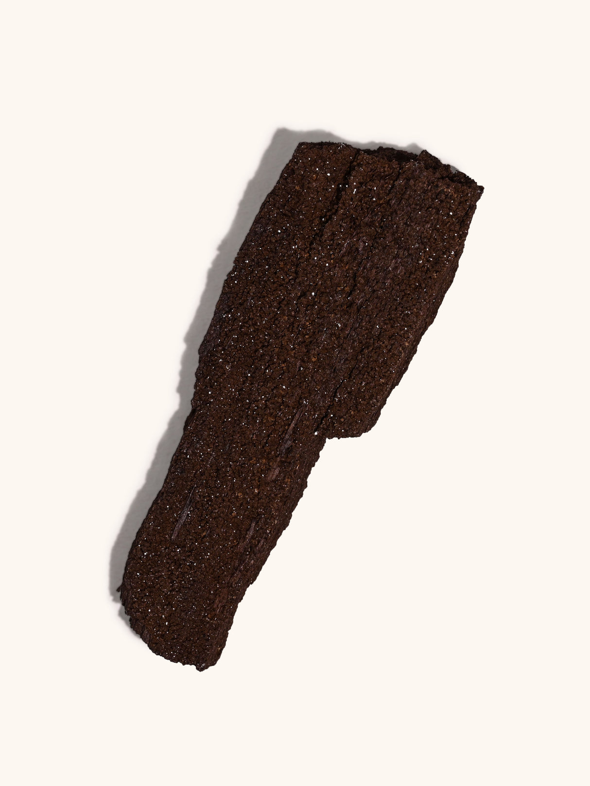 Permineralized Wood
