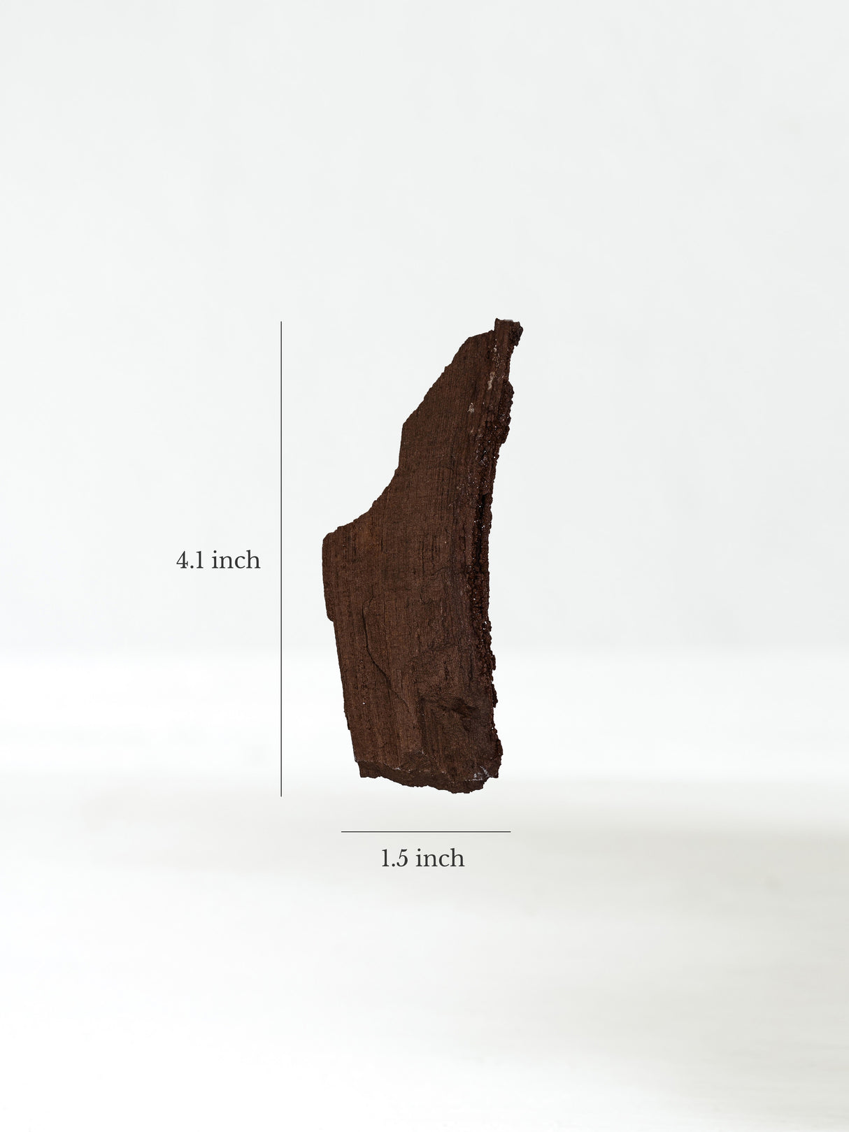 Permineralized Wood K Dimension | Cg1189