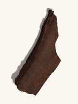 Permineralized Wood