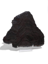 Jasper Hematite Slab B | Cg1195