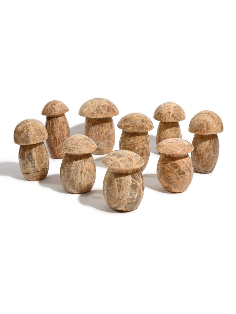 Earth Moonstone Mushroom