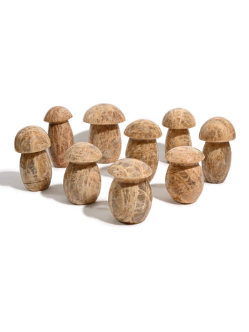 Earth Moonstone Mushroom