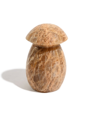 Earth Moonstone Mushroom