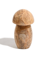 Earth Moonstone Mushroom 1 | Cg136