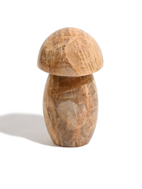 Earth Moonstone Mushroom 1 | Cg136