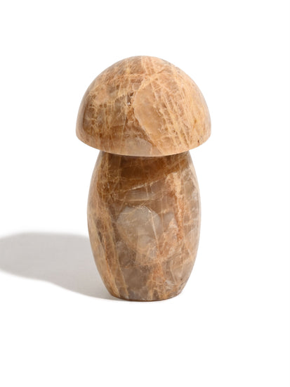 Earth Moonstone Mushroom 1 | Cg136