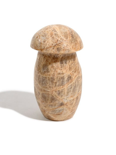 Earth Moonstone Mushroom 2 | Cg136