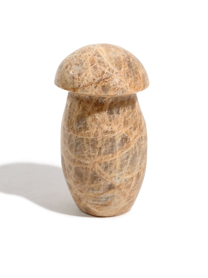 Earth Moonstone Mushroom 2 | Cg136