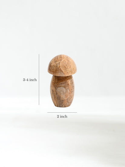 Earth Moonstone Mushroom Dimension | Cg136