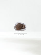 Window Smoky Quartz 4 | Cg17