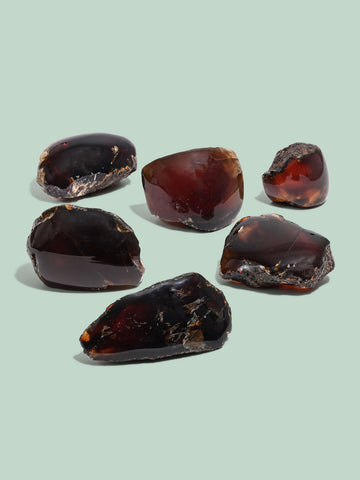 Sumatran Amber