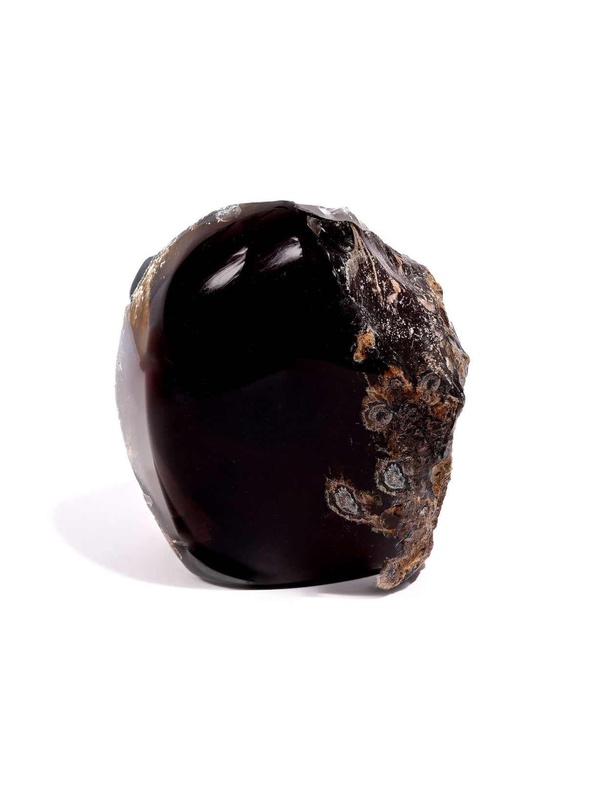 Sumatran Amber Large | Cg185
