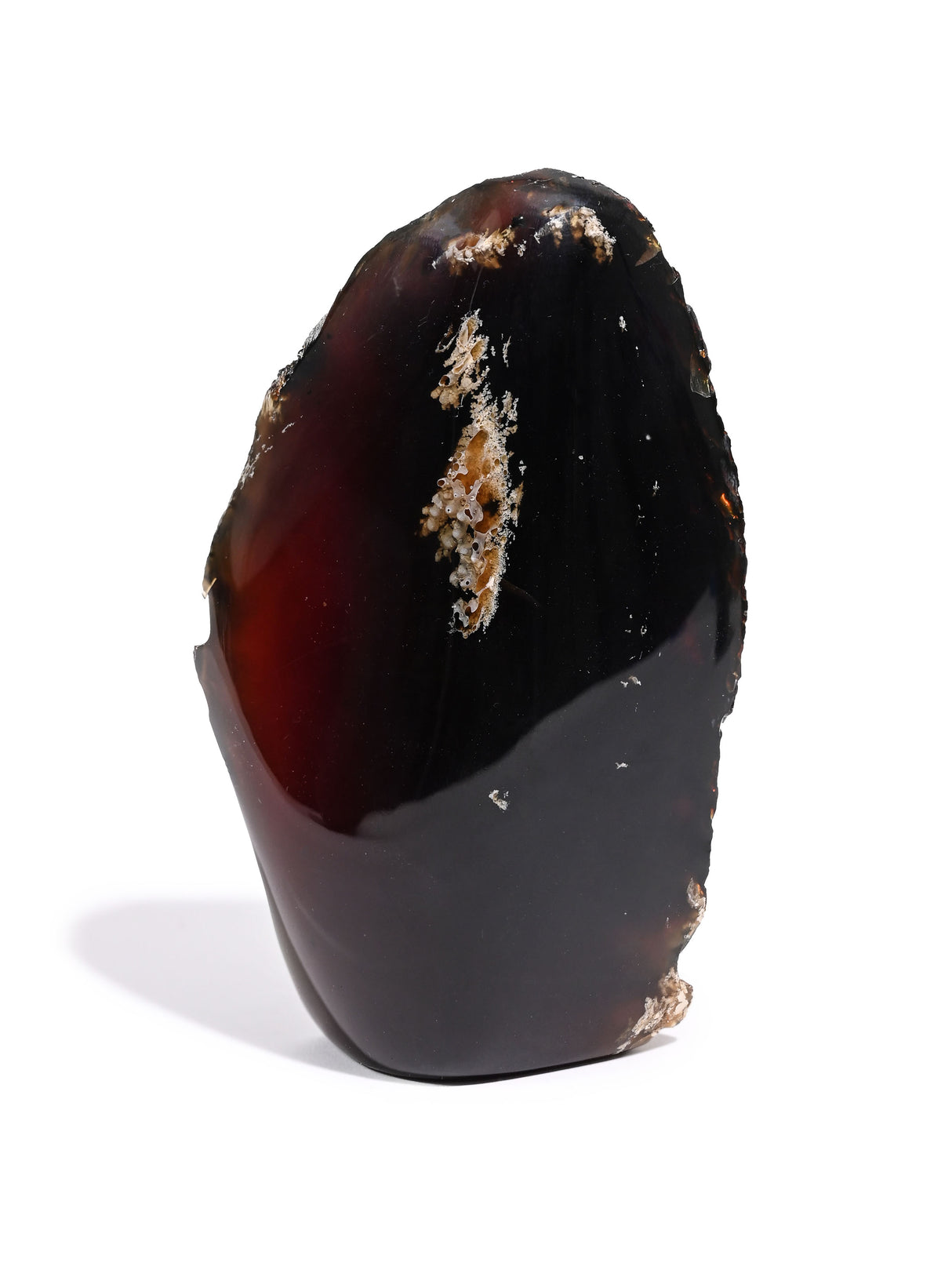 Sumatran Amber Extra Large | Cg186