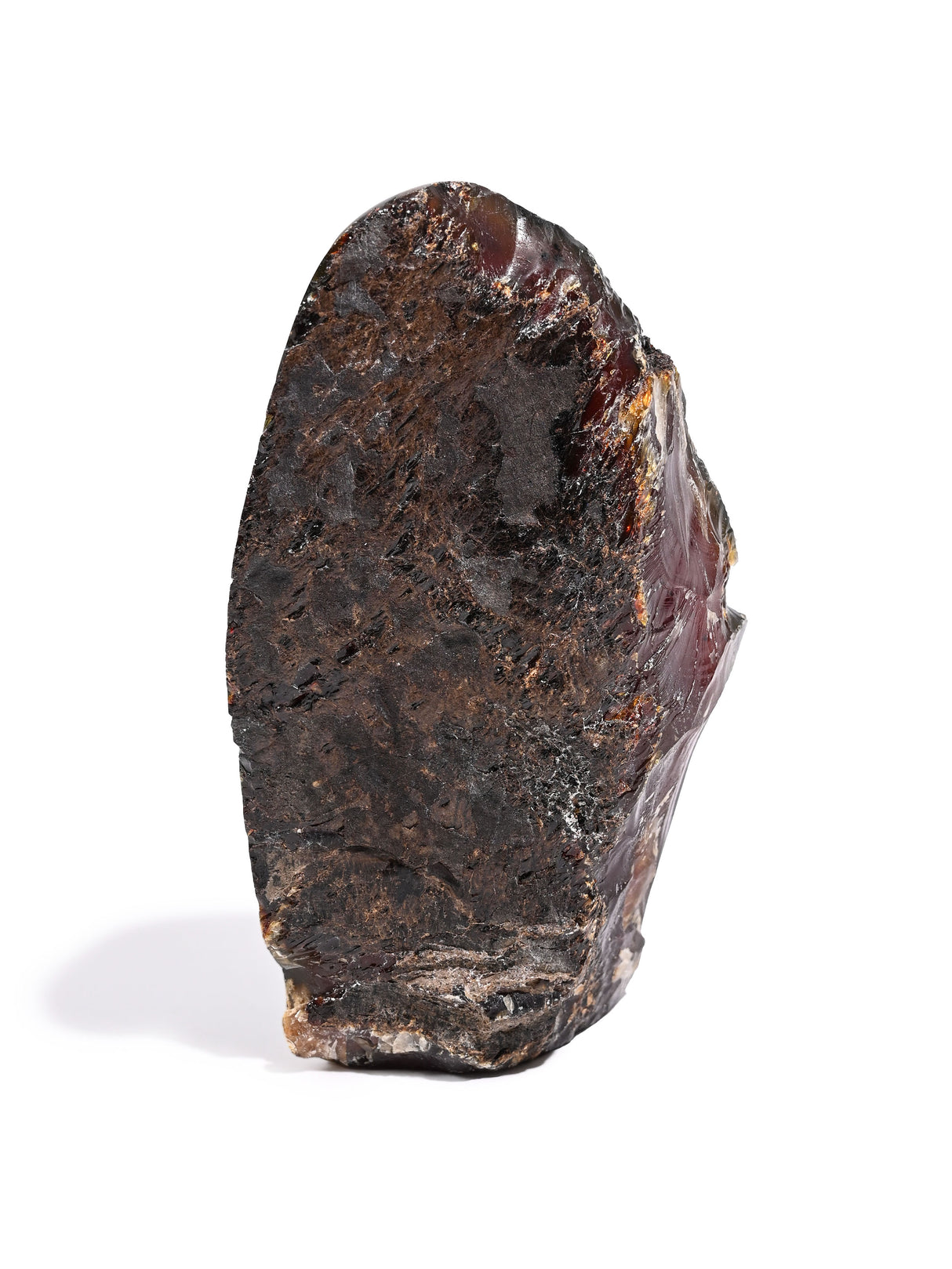 Sumatran Amber Extra Large 1 | Cg186