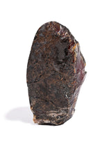 Sumatran Amber Extra Large 1 | Cg186