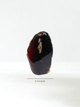 Sumatran Amber Extra Large Dimension | Cg186