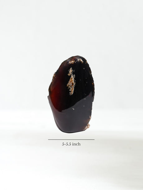 Sumatran Amber Extra Large Dimension | Cg186