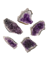 Bundle of 5 Small Amethyst Clusters