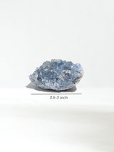 Celestite Cluster Medium Dimension | Cg439