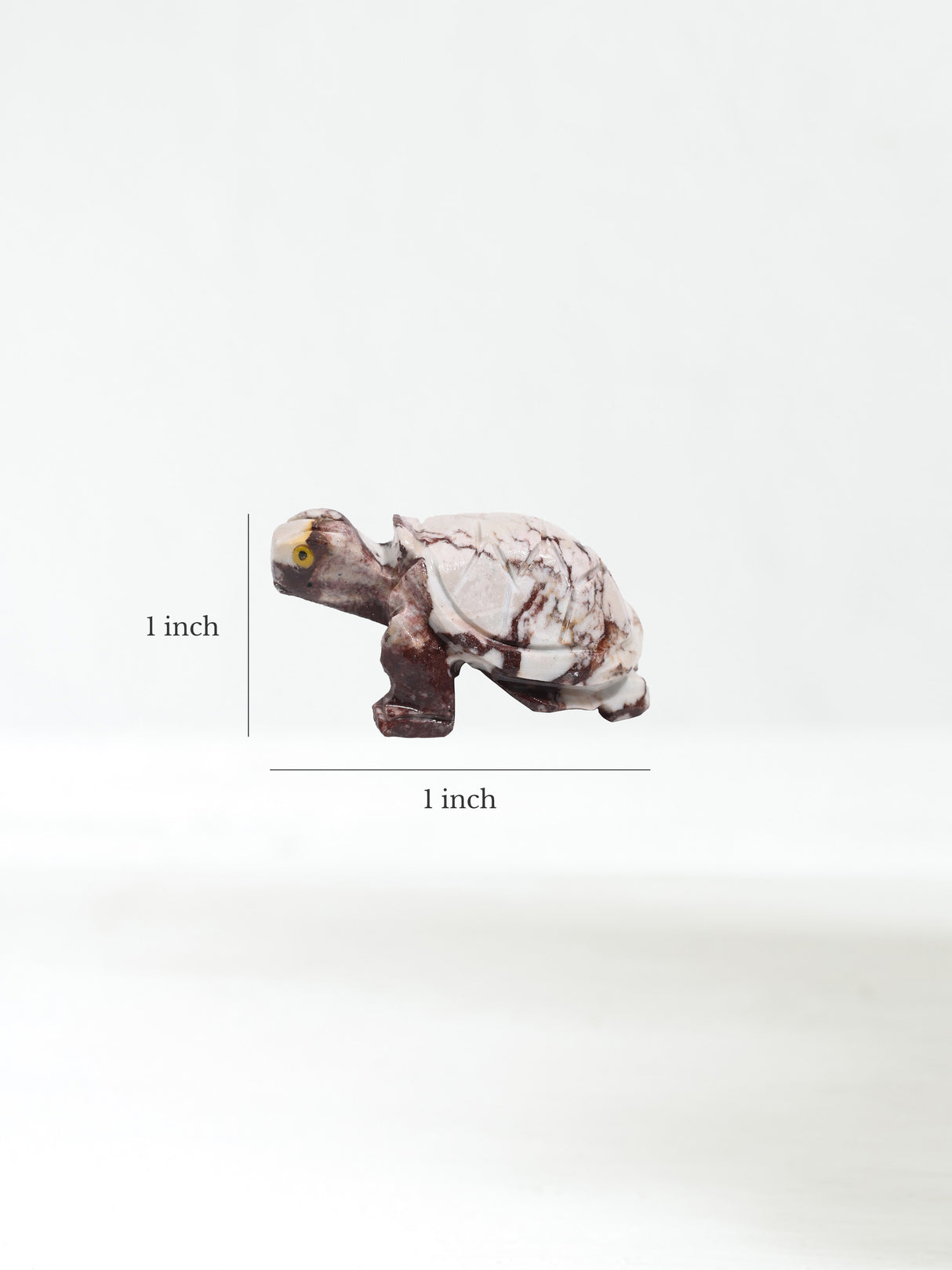 Soapstone Animal Carving Turtle Dimension | Cg602
