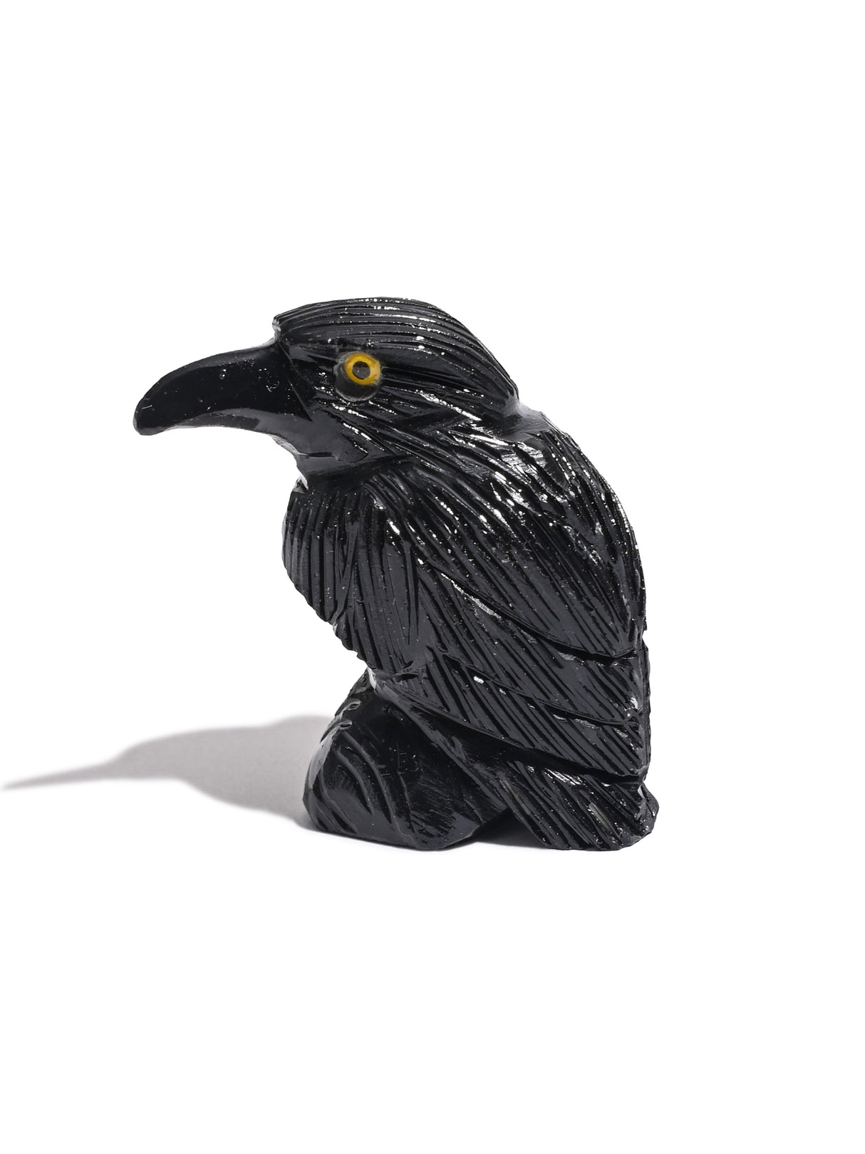 Black Onyx Raven Small 1 | Cg608