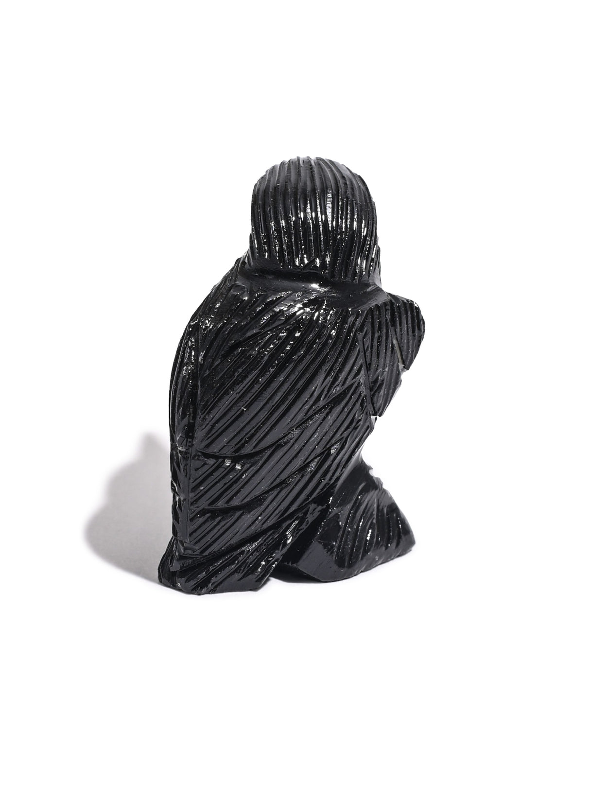 Black Onyx Raven Small 2 | Cg608