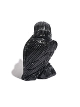 Black Onyx Raven Small 2 | Cg608