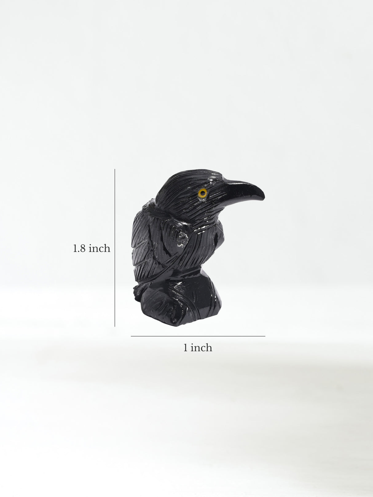 Black Onyx Raven Small Dimension | Cg608