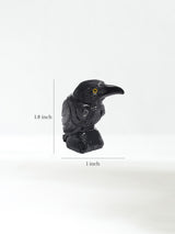 Black Onyx Raven Small Dimension | Cg608