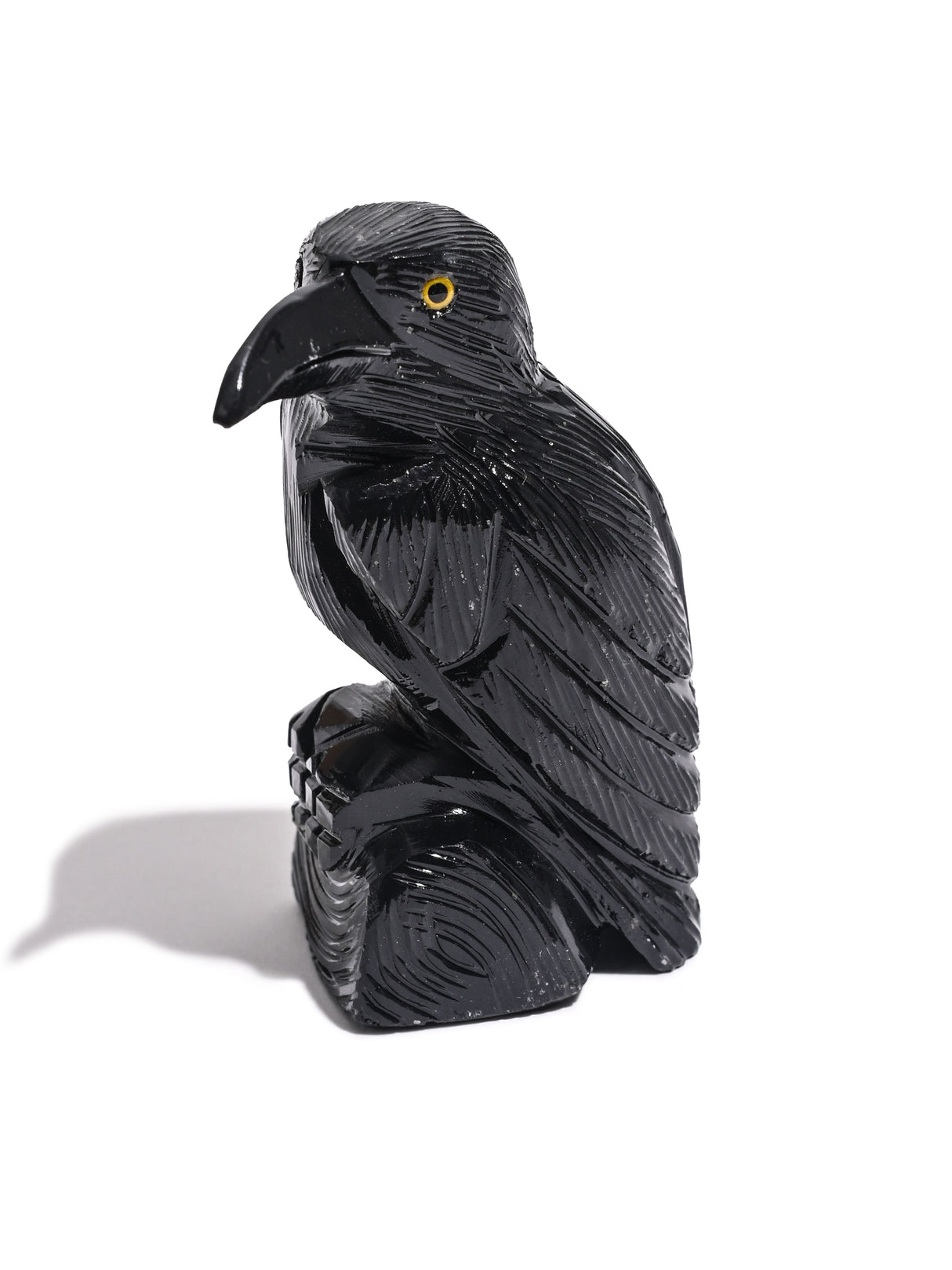 Black Onyx Raven Medium | Cg609