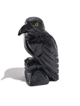 Black Onyx Raven Medium | Cg609