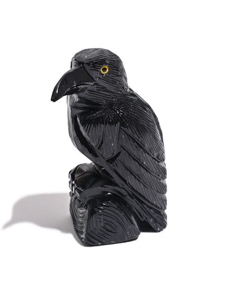 Black Onyx Raven Medium | Cg609